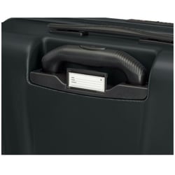 Чемодан Wenger SKYON/Black 653566 (Большой)