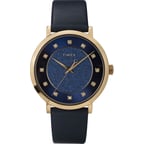 Женские часы Timex CELESTIAL OPULENCE Tx2u41100