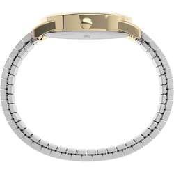 Чоловічий годинник Timex EASY READER Txg025500