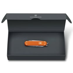 Швейцарський складаний ніж 58мм Victorinox CLASSIC Limited Edition 0.6221.L21