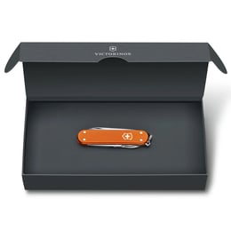 Швейцарский складной нож 58мм Victorinox CLASSIC Limited Edition 0.6221.L21