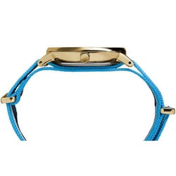 Мужские часы Timex FAIRFIELD Tx2p91000