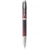 Ручка перьевая Parker IM Premium SE Last Frontier Portal CT FP F