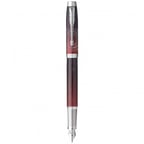 Ручка перьевая Parker IM Premium SE Last Frontier Portal CT FP F