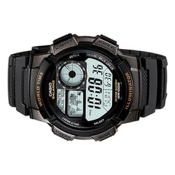 Мужские часы Casio STANDARD Digital Cwae-1000w-1avef