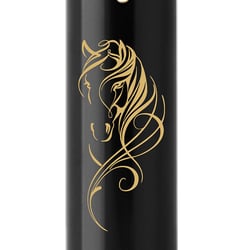 Ручка шариковая Parker IM ZODIAC Black GT BP Красный конь