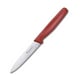 Ніж 10 см Victorinox STANDARD Paring 5.0701