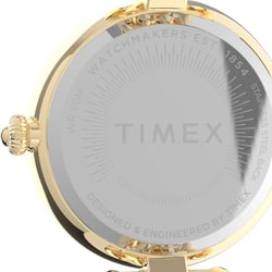 Женские часы Timex ASHEVILLE Tx2v02500