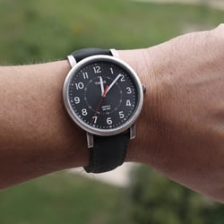 Часы Timex ORIGINALS Oversized Tx2p219