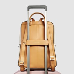 Рюкзак для ноутбука 14″ Piquadro ASHLEY (W134) Orange CA6455W134_AR