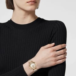 Женские часы Versace DELPHINUS Vre0o00325