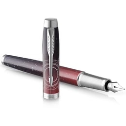 Ручка перьевая Parker IM Premium SE Last Frontier Portal CT FP F