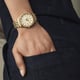 Женские часы Timex ARIANA Tx2w17600