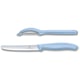 Набір кухонний Victorinox SWISS CLASSIC Paring Set 6.7116.21L22
