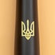 Ручка кулькова Parker URBAN UKRAINE Twist Muted Black GT BP Тризуб