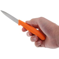 Набір ножів (2 шт) Victorinox SWISS CLASSIC Paring 6.7606.L119B