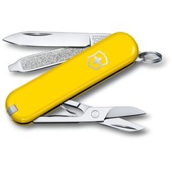 Швейцарський складаний ніж 58мм Victorinox CLASSIC SD Colors 0.6223.8G
