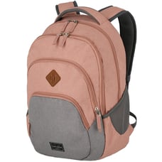 Рюкзак Travelite BASICS/Pink TL096308-17