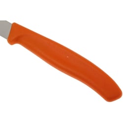 Набір ножів (2 шт) Victorinox SWISS CLASSIC Paring 6.7606.L119B