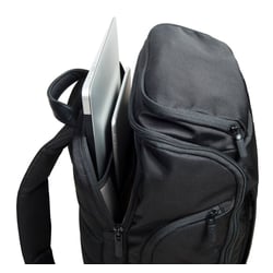 Рюкзак для ноутбука 15″ Victorinox Travel ALTMONT Professional/Black 602153