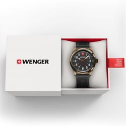 Мужские часы Wenger TERRAGRAPH W01.0541.125