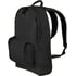 Рюкзак для ноутбука 15″ Victorinox Travel ALTMONT Classic/Black 602644