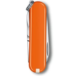 Швейцарський складаний ніж 58мм Victorinox CLASSIC SD Colors 0.6223.83G