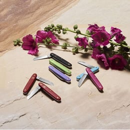 Складаний ніж садовода 100мм Victorinox Floral 3.9050.53B1