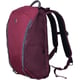 Рюкзак для ноутбука 13″ Victorinox Travel ALTMONT Active/Burgundy 602134
