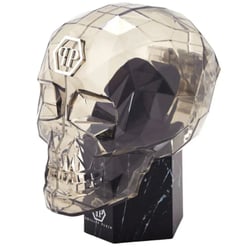 Жіночий годинник Philipp Plein DATE SUPERLATIVE Ppw2ba0323