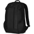 Рюкзак для ноутбука 15,6″ Victorinox Travel ALTMONT Original/Black 606739