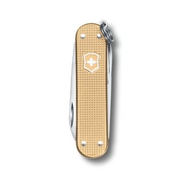 Швейцарский складной нож 58мм Victorinox CLASSIC Limited Edition 0.6221.L19