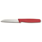 Нож 8 см Victorinox STANDARD Paring 5.0401