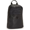 Рюкзак Kipling DAYANA Muze + Black (V82)