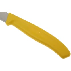 Набір ножів (2 шт) Victorinox SWISS CLASSIC Paring 6.7606.L118B