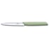 Ніж 10 см Victorinox SWISS MODERN Paring 6.9006.1042