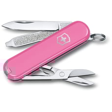 Швейцарський складаний ніж 58мм Victorinox CLASSIC SD Colors 0.6223.51G
