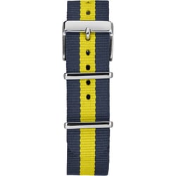 Чоловічий годинник Timex FAIRFIELD Tx2p90900