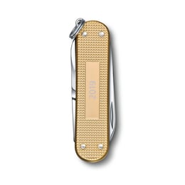 Швейцарский складной нож 58мм Victorinox CLASSIC Limited Edition 0.6221.L19