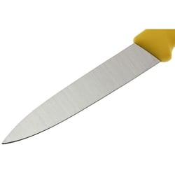 Набір ножів (2 шт) Victorinox SWISS CLASSIC Paring 6.7606.L118B