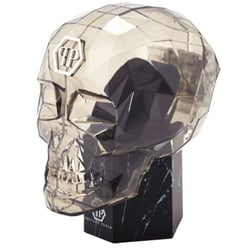 Жіночий годинник Philipp Plein DATE SUPERLATIVE Ppwyaa0723