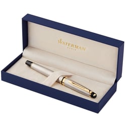 Ручка ролерна Waterman EXPERT Stainless Steel GT RB