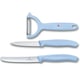 Набір кухонний Victorinox SWISS CLASSIC Paring Set 6.7116.33L22