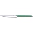 Ніж для стейка Victorinox SWISS MODERN Steak&Pizza 6.9006.12W41