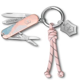 Швейцарський складаний ніж Victorinox CLASSIC SD Paris Style 0.6223.E221