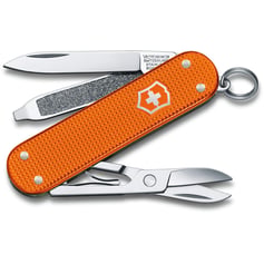 Швейцарский складной нож 58мм Victorinox CLASSIC Limited Edition 0.6221.L21