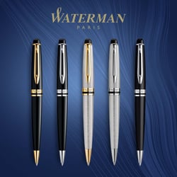 Ручка шариковая Waterman EXPERT Stainless Steel CT BP