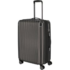 Валіза Titan BARBARA GLINT/Anthracite Metallic Ti845405-04 (Середня)