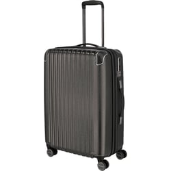 Чемодан Titan BARBARA GLINT/Anthracite Metallic Ti845405-04 (Средний)