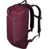 Рюкзак для ноутбука 13″ Victorinox Travel ALTMONT Active/Burgundy 602140